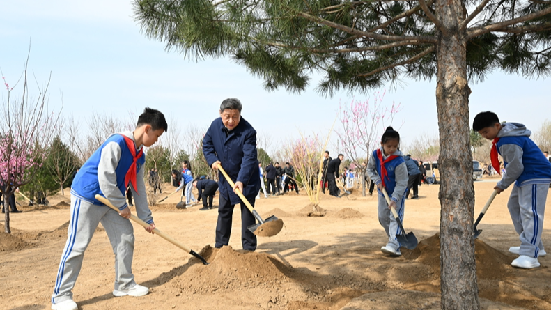 習近平在參加首都義務植樹活動時強調：匯聚共建美麗中國磅礴力量 讓祖國大地更加綠意盎然生機勃發