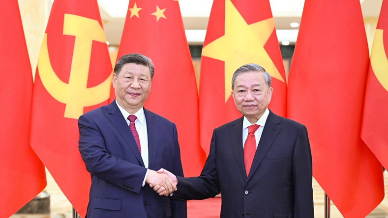習近平同越共中央總書記蘇林舉行會談